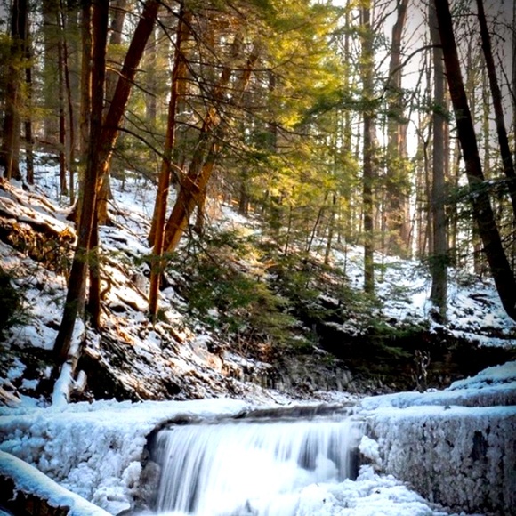 Meet your Posher - Picture 2 of 2